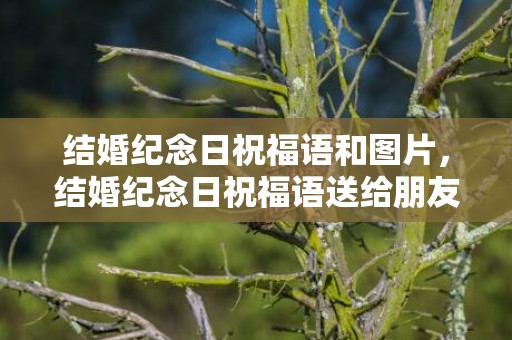 结婚纪念日祝福语和图片，结婚纪念日祝福语送给朋友的话语怎么写