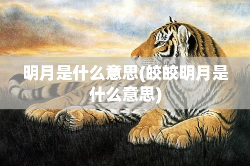 明月是什么意思(皎皎明月是什么意思)