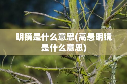 明镜是什么意思(高悬明镜是什么意思)