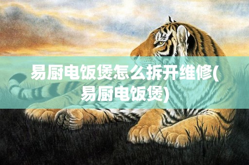 易厨电饭煲怎么拆开维修(易厨电饭煲)