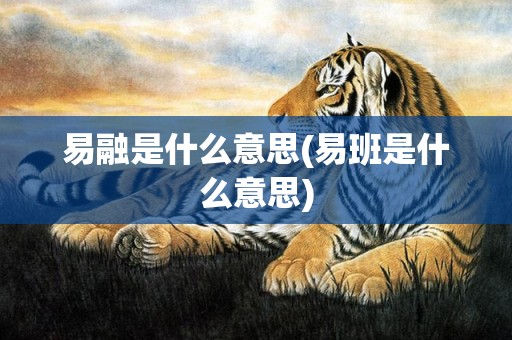 易融是什么意思(易班是什么意思)