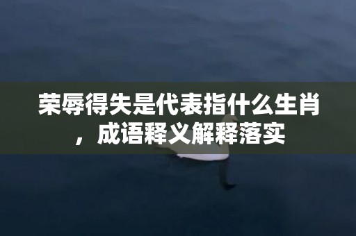 荣辱得失是代表指什么生肖，成语释义解释落实插图