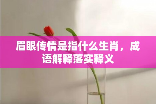 眉眼传情是指什么生肖，成语解释落实释义