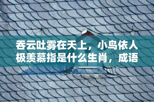 吞云吐雾在天上，小鸟依人极羡慕指是什么生肖，成语释义解释落实插图