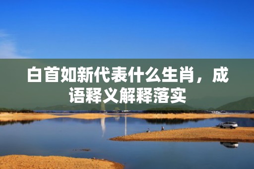 白首如新代表什么生肖，成语释义解释落实
