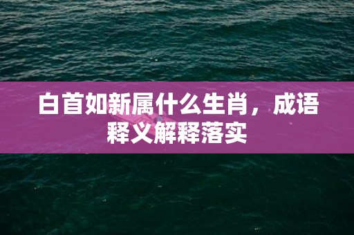 白首如新属什么生肖，成语释义解释落实插图