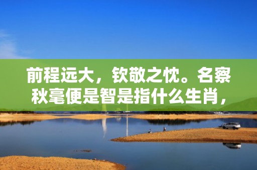前程远大，钦敬之忱。名察秋毫便是智是指什么生肖，成语释义解释落实