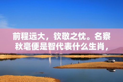 前程远大，钦敬之忱。名察秋毫便是智代表什么生肖，成语解释释义落实插图