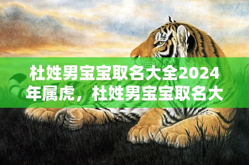 杜姓男宝宝取名大全2024年属虎，杜姓男宝宝取名大全2024年