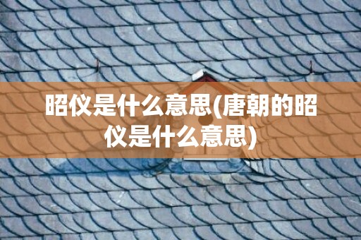 昭仪是什么意思(唐朝的昭仪是什么意思)