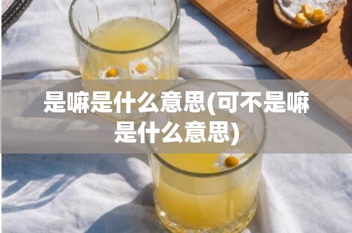 是嘛是什么意思(可不是嘛是什么意思)