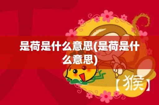 是荷是什么意思(是荷是什么意思)