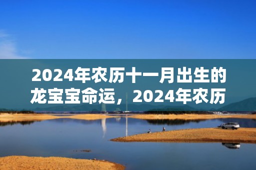 2024年农历十一月出生的龙宝宝命运，2024年农历十一月初七出生女孩如意好名