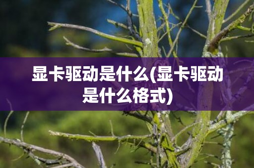 显卡驱动是什么(显卡驱动是什么格式)
