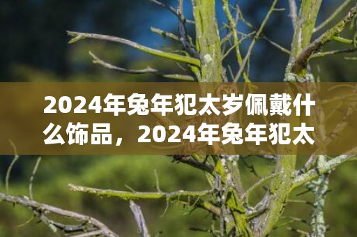 2024年兔年犯太岁佩戴什么饰品，2024年兔年犯太岁的四个属相