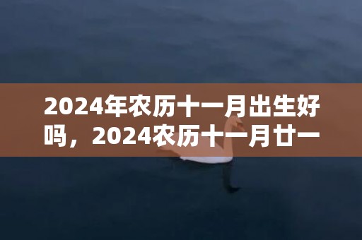 2024年农历十一月出生好吗，2024农历十一月廿一日出生的男孩起名