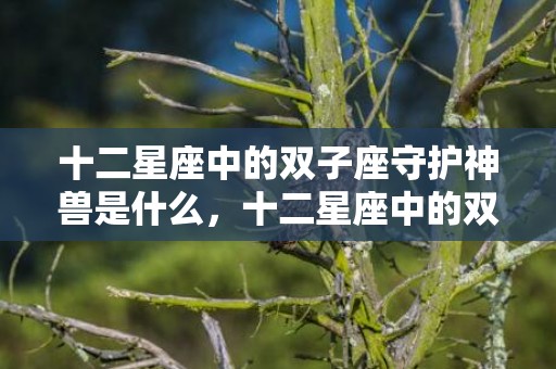 十二星座中的双子座守护神兽是什么，十二星座中的双子座是什么性格的人