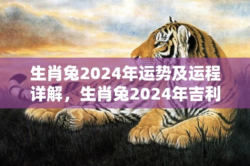 生肖兔2024年运势及运程详解，生肖兔2024年吉利的幸运数字是几