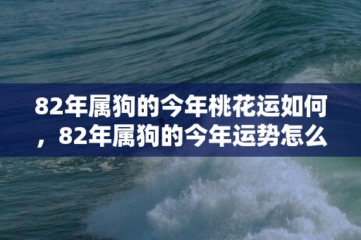 82年属狗的今年桃花运如何，82年属狗的今年运势怎么样