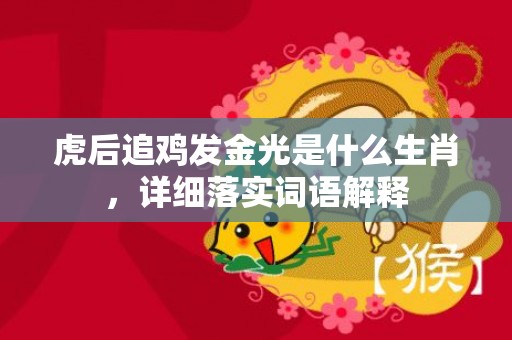 虎后追鸡发金光是什么生肖，详细落实词语解释