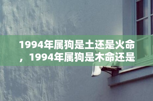1994年属狗是土还是火命，1994年属狗是木命还是火命