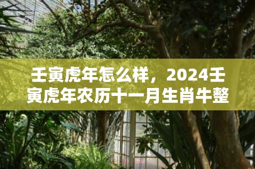 壬寅虎年怎么样，2024壬寅虎年农历十一月生肖牛整体运势如何