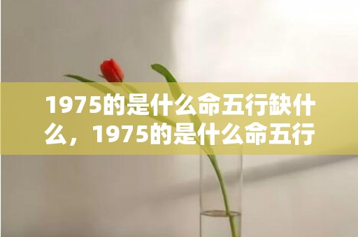 1975的是什么命五行缺什么，1975的是什么命五行缺什么