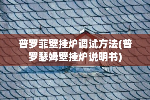 普罗菲壁挂炉调试方法(普罗瑟姆壁挂炉说明书)