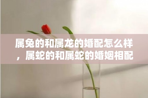 属兔的和属龙的婚配怎么样，属蛇的和属蛇的婚姻相配吗