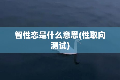 智性恋是什么意思(性取向测试)