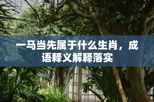 一马当先属于什么生肖，成语释义解释落实