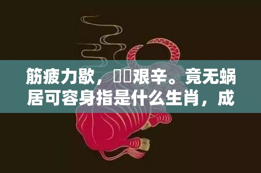 筋疲力歇，備嘗艰辛。竟无蜗居可容身指是什么生肖，成语释义解释落实