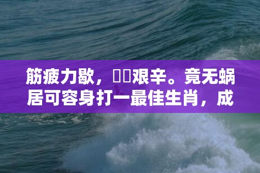 筋疲力歇，備嘗艰辛。竟无蜗居可容身打一最佳生肖，成语释义解释落实插图