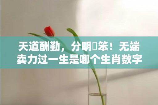 天道酬勤，分明搵笨！无端卖力过一生是哪个生肖数字，成语释义解释落实插图