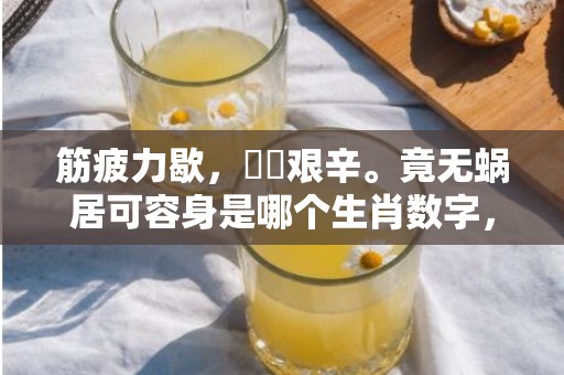 筋疲力歇，備嘗艰辛。竟无蜗居可容身是哪个生肖数字，成语释义解释落实插图