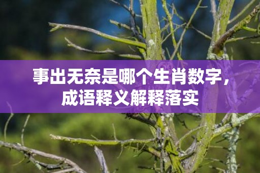 事出无奈是哪个生肖数字，成语释义解释落实插图