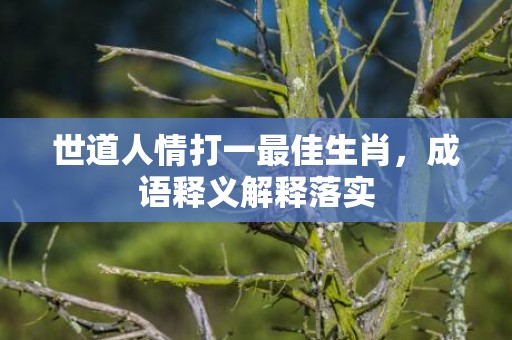 世道人情打一最佳生肖，成语释义解释落实插图