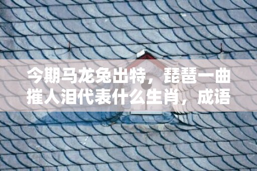今期马龙兔出特，琵琶一曲摧人泪代表什么生肖，成语落实科学释义插图