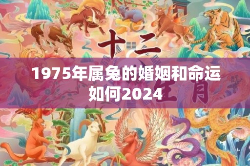 1975年属兔的婚姻和命运如何2024