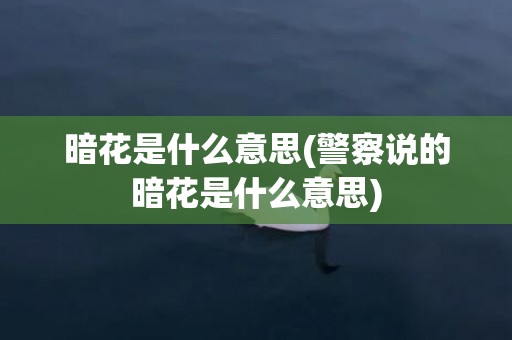 暗花是什么意思(警察说的暗花是什么意思)