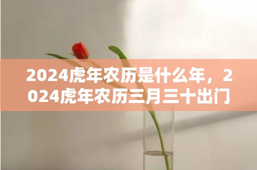 2024虎年农历是什么年，2024虎年农历三月三十出门办事好不好