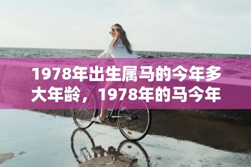 1978年出生属马的今年多大年龄，1978年的马今年有牢狱之灾2024