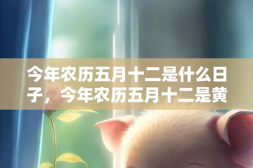 今年农历五月十二是什么日子，今年农历五月十二是黄道吉日吗请问