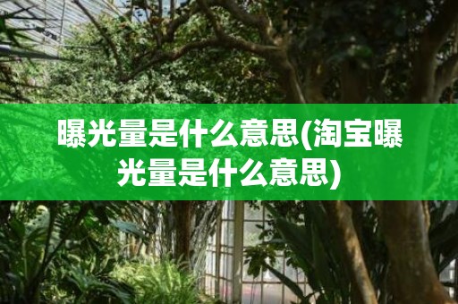 曝光量是什么意思(淘宝曝光量是什么意思)