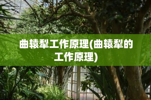 曲辕犁工作原理(曲辕犁的工作原理)