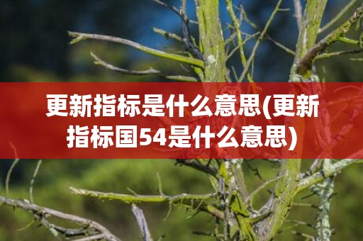 更新指标是什么意思(更新指标国54是什么意思)