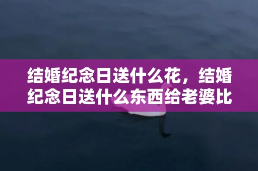 结婚纪念日送什么花，结婚纪念日送什么东西给老婆比较好，适合结婚纪念日去的地方