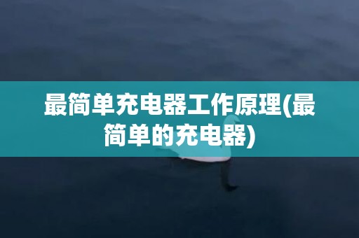 最简单充电器工作原理(最简单的充电器)