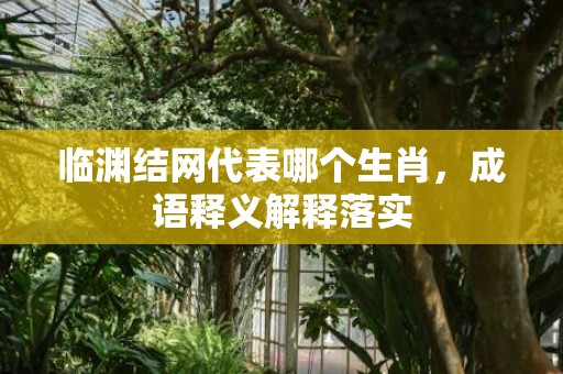 临渊结网代表哪个生肖，成语释义解释落实