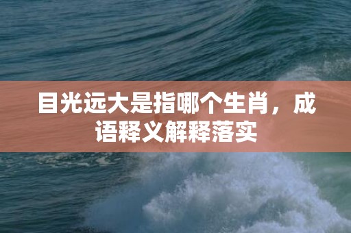目光远大是指哪个生肖，成语释义解释落实